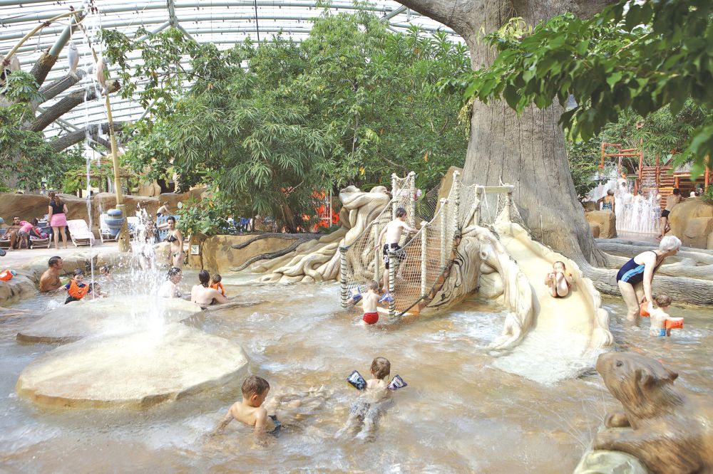 Vous souhaitez passer des vacances d’exception ? Choisissez le center parc bois aux daims pour votre prochaine destination