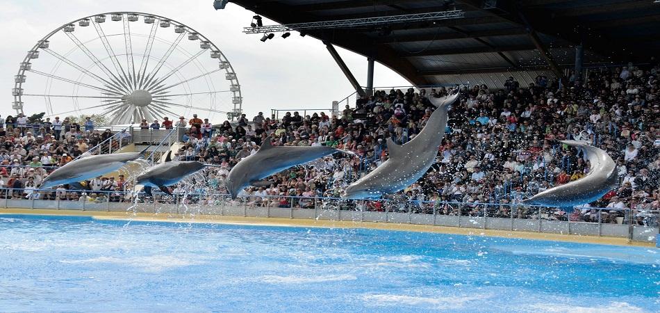 4 bonnes raisons de camper à Marineland d&rsquo;Antibes
