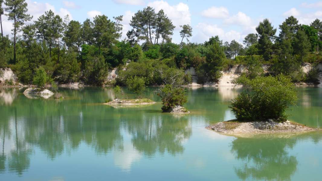 Investissement immobilier à Léognan : bien se faire accompagner