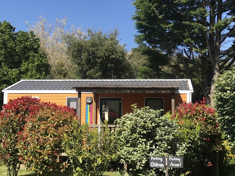 Camper près du Zoo de La Palmyre : où se rendre ?